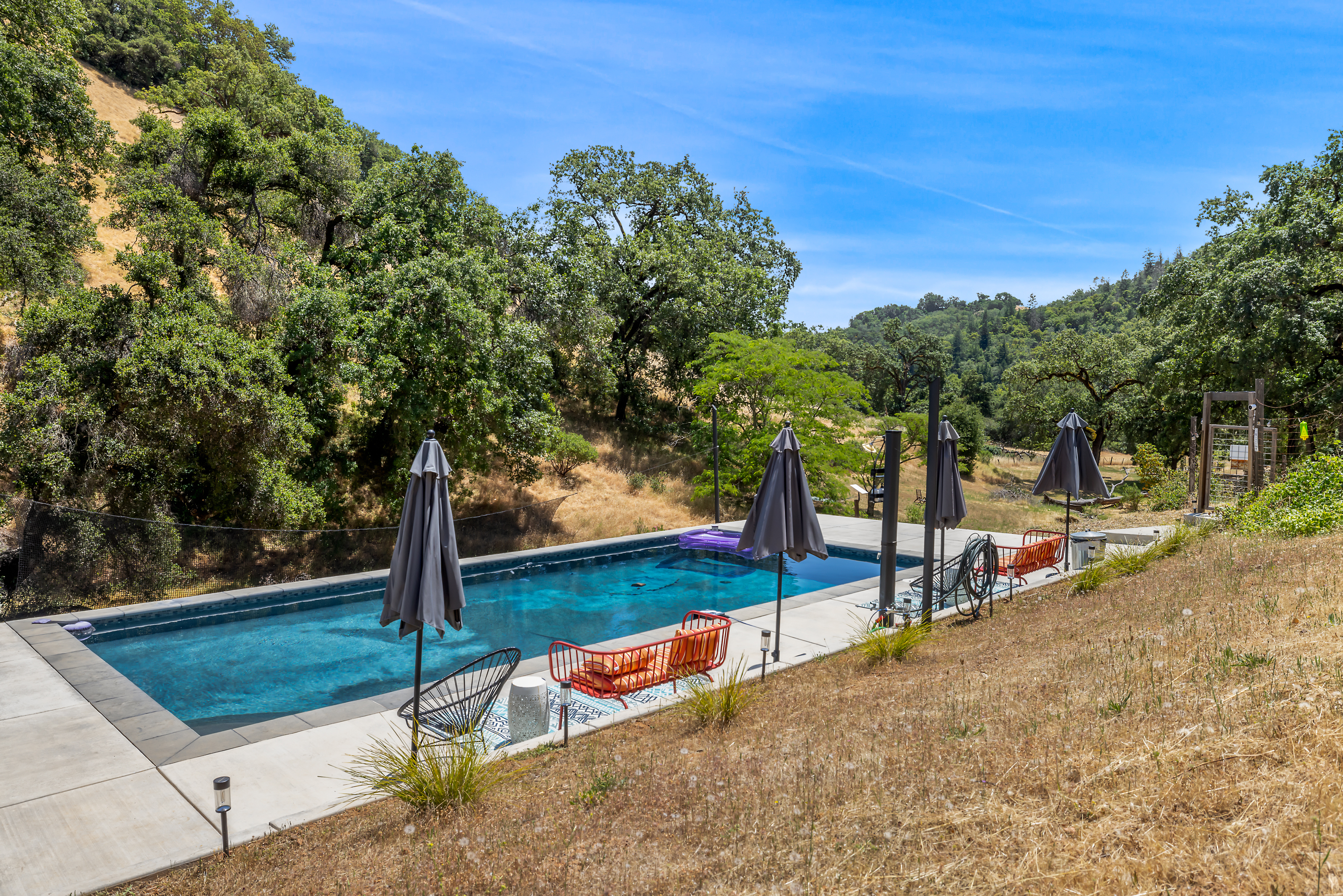 Pool surrounded by nature